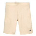 Quiksilver Basic Fleece Short Homme Sportswear Confortable
