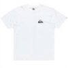 T-shirt de sport Quiksilver Ev Mini Logo Homme Aloe