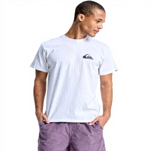 T-shirt de sport Quiksilver Ev Mini Logo Homme Aloe